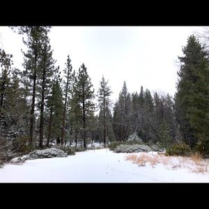 Meet your Posher, Sheila